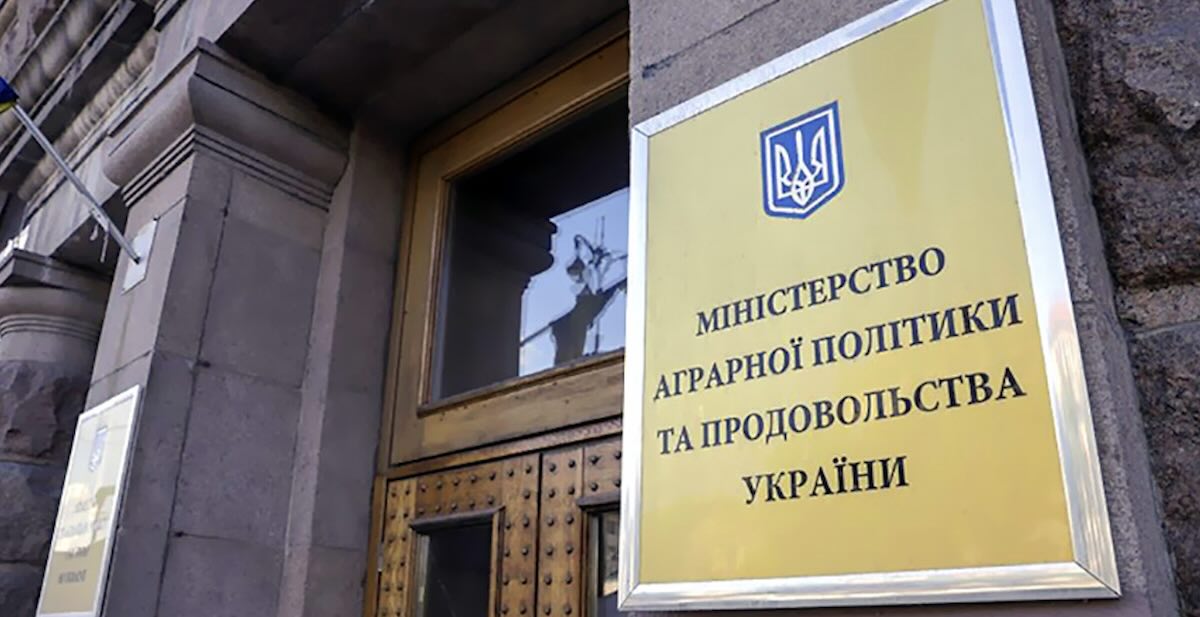 Мінагрополітики спростувало дефіцит жита та пшениці в Україні / Фото: відкриті джерела